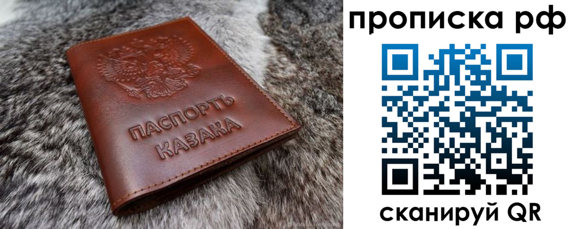 временная регистрация гарантия в Коле