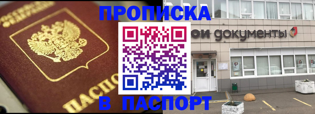 где прописаться в Коле